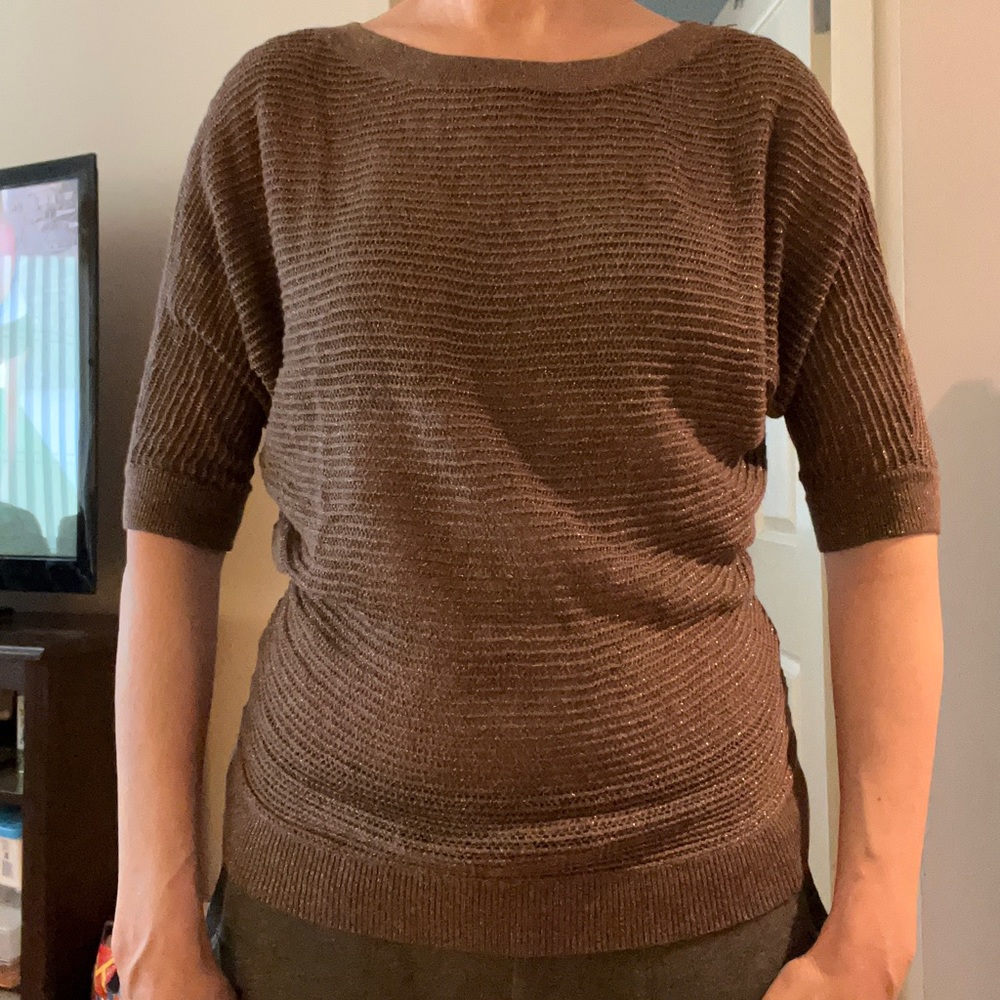 Sparkly Top-Express Brand Dolman Sleeve Sweater, Elegant Neutral Color